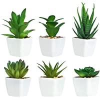 Ouddy 6 Piezas de Plantas Suculentas Artificiales en Macetas- Plantas Suculentas Artificiales Verdes- Utilizadas para…